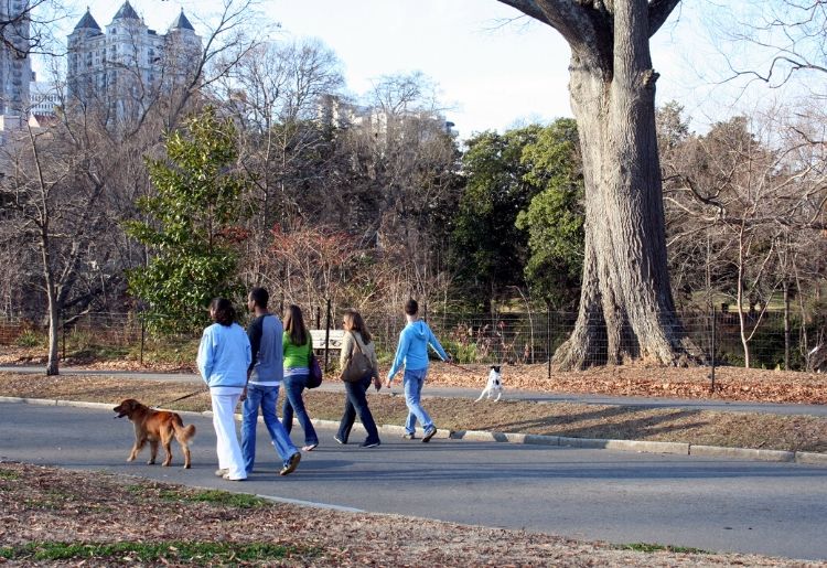 A family walking their dogs in a park in Atlanta, GA